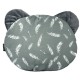 Teddy Pillow Dark Grey Feathers - Velvet