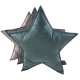 Star Pillow Bottle Green