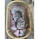 Baby Nest Sepia Rose Vintage Meadow - Velvet