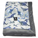 Newborn Blanket 60x70cm Dark Grey Dreaming Dino - Velvet
