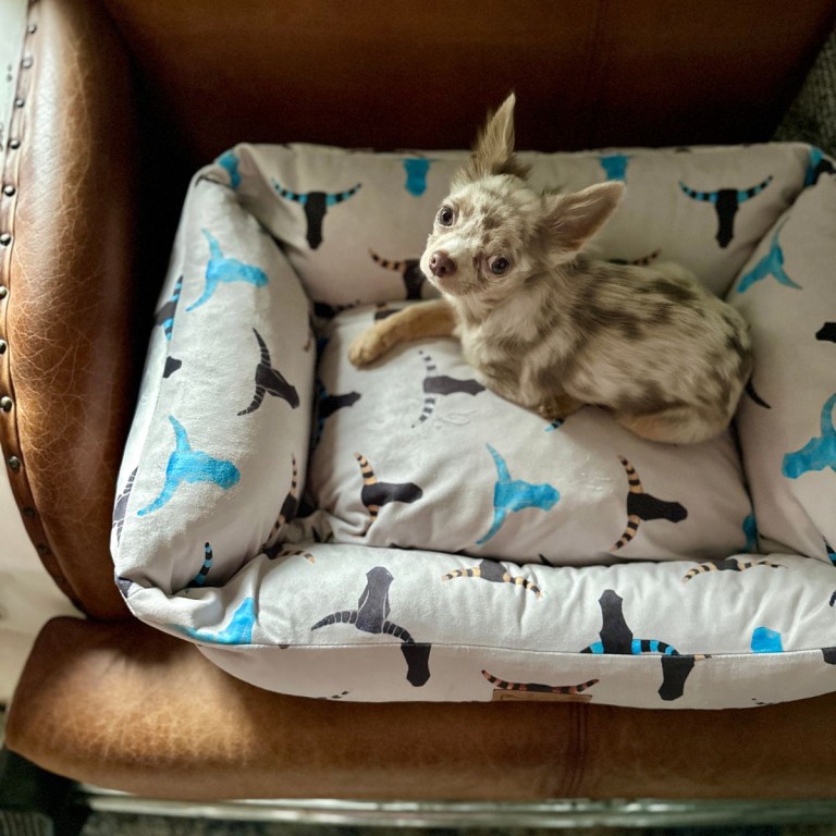 DOG BED HEAD&HORN - SMALL
