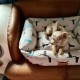 DOG BED HEAD&HORN - MEDIUM