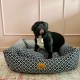 DOG BED BLOSSOM- MEDIUM