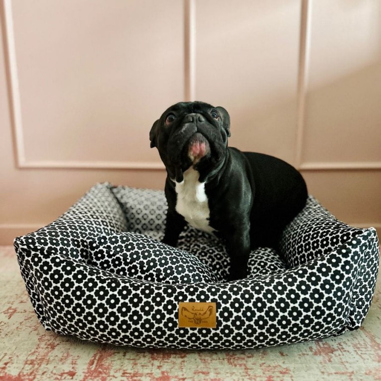 DOG BED BLOSSOM- MEDIUM