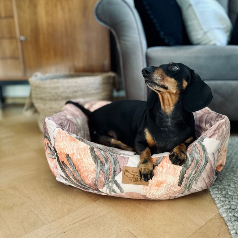 DOG BED ORANGE FLOWER - SMALL