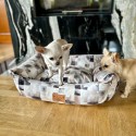 DOG BED CUBES - SMALL