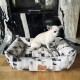 DOG BED CUBES - SMALL