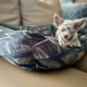 DOG BED JUNGLE - MEDIUM