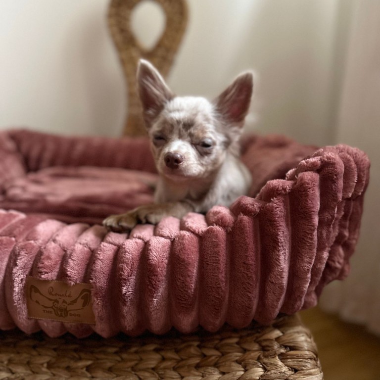 DOG BED FLUFFY SEPIA ROSE - SMALL