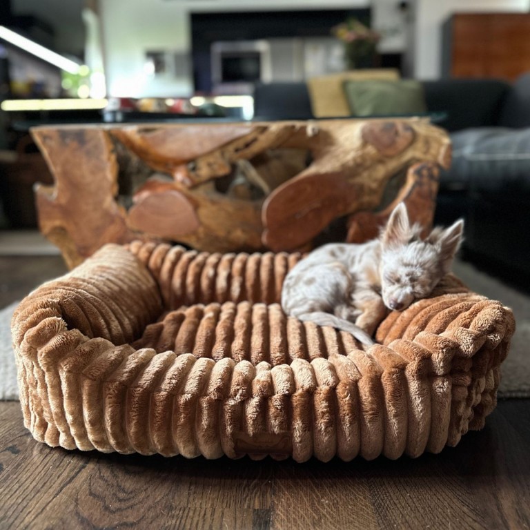 DOG BED FLUFFY TEDDY - SMALL