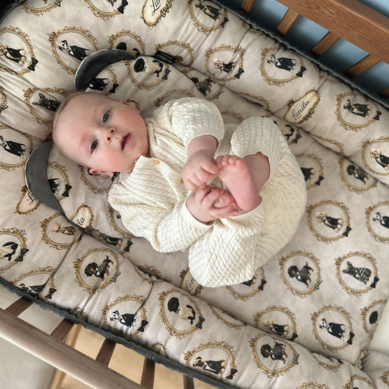 Kokon Niemowlęcy Dark Grey Lord Dog - Velvet