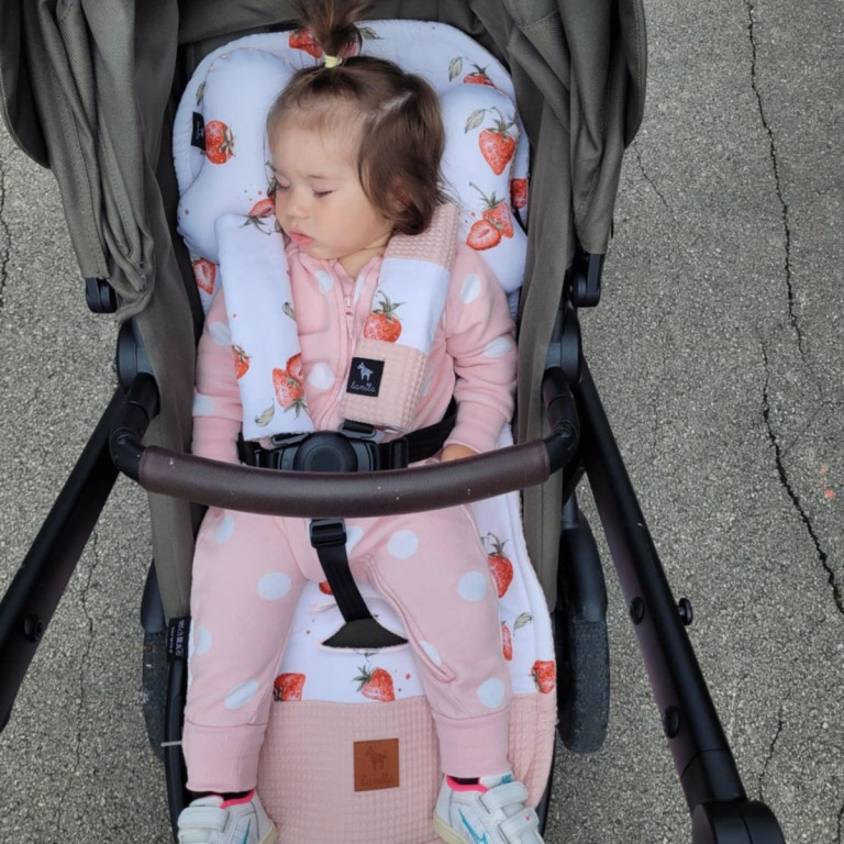 NEW Baby Set Pad + Pillow + Cover + Strap Grapefruit Rose I Love Strawberry - Waffle