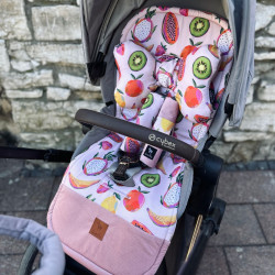 NEW Baby Set Pad + Pillow + Cover + Strap Sepia Rose Fruit Fiesta - Velvet