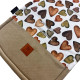 Stroller Pad Caramel Chocolate Pralines - Velvet