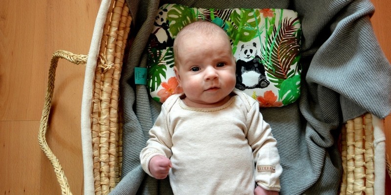 Baby Pillow 100% Bamboo 20x30cm