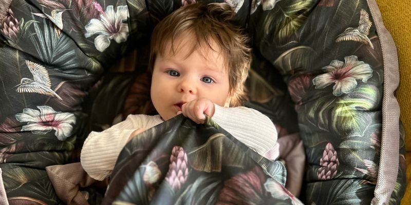 Tropical Jungle Collection