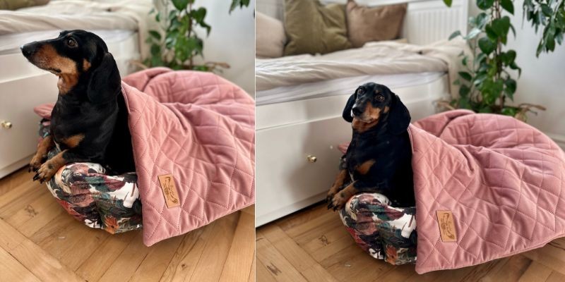 Dog Blankets