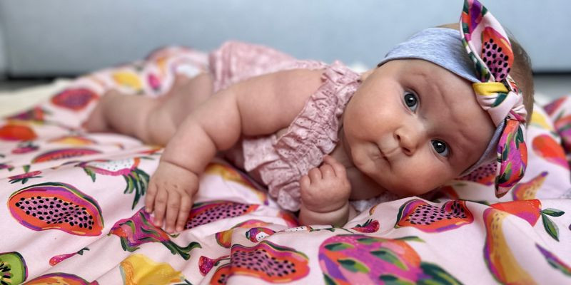 Fruit Fiesta Collection